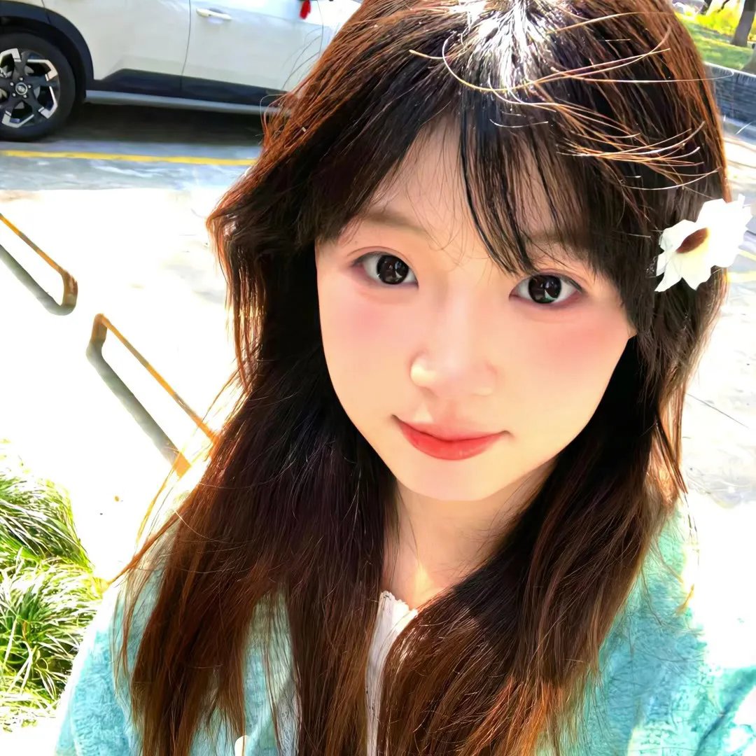 小老鼠历险记